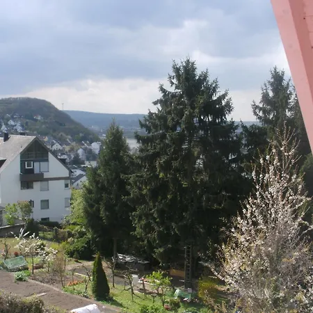 Rhein-mosel-view
